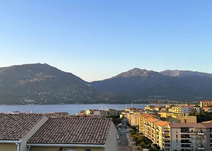 Superbe Vue Et Montagne - T3 - 5mn Des Plages * Propriano (Corsica)